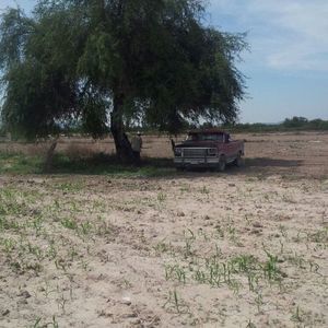 Meet your Posher, Tomas